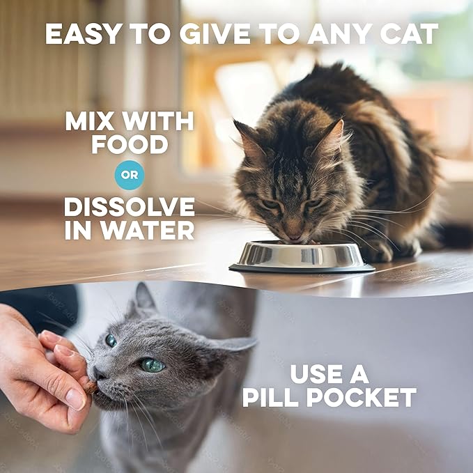 Cat Eye Infection & Vision Care Support, Holistic Vision Support for Cats & Kittens, Soothes Eye Infections, Conjunctivitis, Swelling, and Discharge, Easy to Use, 400 Odorless, Tasteless Pills