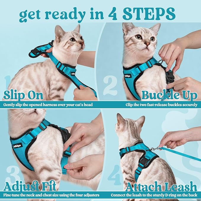 rabbitgoo Cat Harness and Leash for Walking, Escape Proof Soft Adjustable Vest Harnesses for Cats, Easy Control Breathable Reflective Strips Jacket, Teal, M