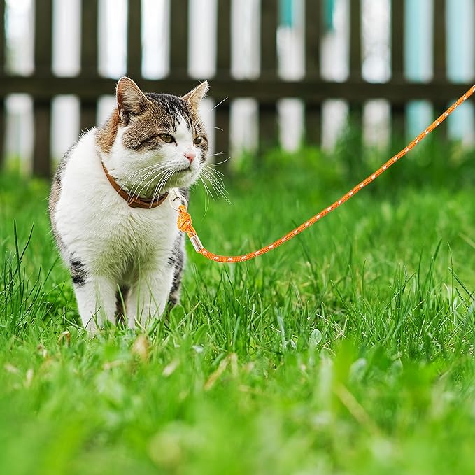 Reflective Cat Leash, 30ft Escape Proof Walking Lead Yard Long Leash, Extender Leash Training Playing Outdoor for Cats Puppy Kitten Small Dogs Rabbit Small Animals