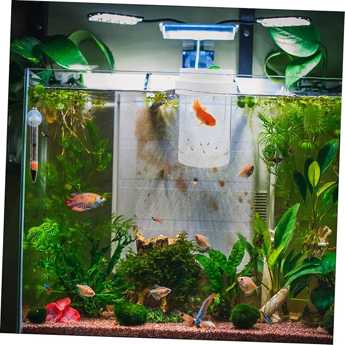 1 Set Floating Breeding Box for Guppy Betta Aquarium Incubator with Stable Water Level Secure Fry Isolation Easy Maintenance for Fish Tank Breeding