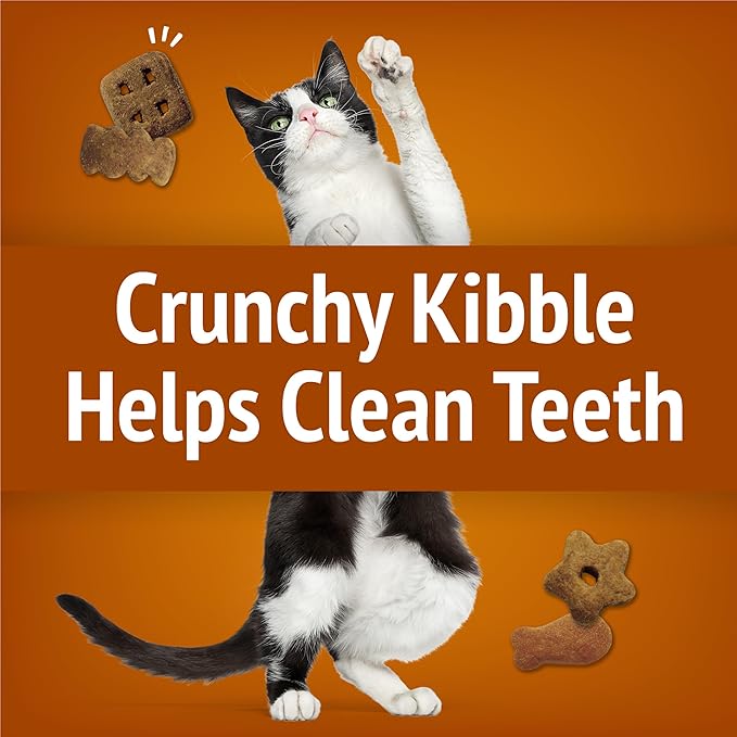 Purina Friskies Party Mix Chicken Lovers Crunch with Real Chicken Cat Treats - 30 oz Canister