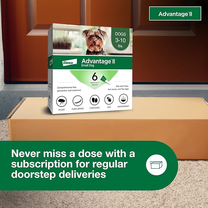 Advantage II Small Dog, 6 pack