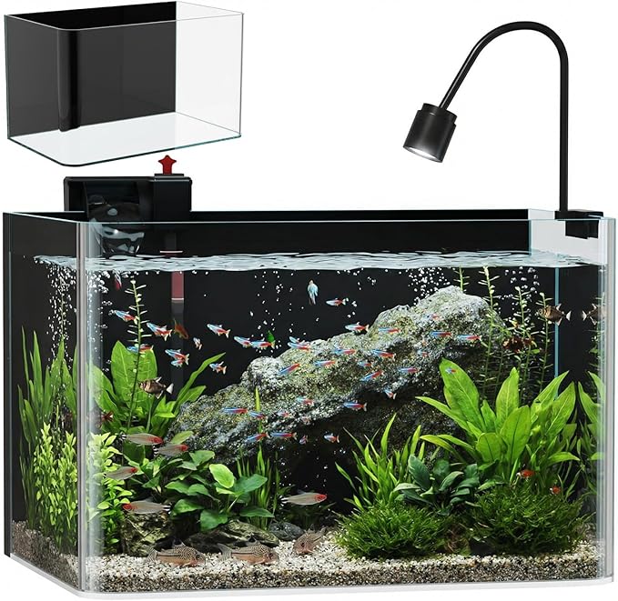 3 Gallon Hot-Bent Black-Back Fish Tank, Aquarium Fish Tank,Easy to Maintain Small Aquarium for Betta/Goldfish/Snails/Shrimp and Aquatic Planting, Perfect for Home, Office, and Decor