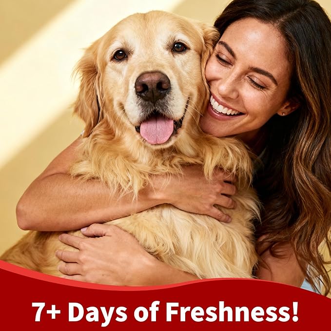 Arf Arf Oatmeal Dog Conditioner for Sensitive Skin - Soothing Anti-Itch & Detangling Formula for Dry, Itchy Skin & Matted Fur - Gentle for Puppies & All Breeds - 16oz