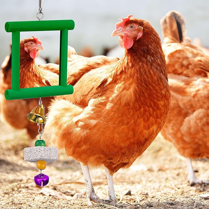 Sumind 2 Pieces Chicken Mirror Toys Hanging Swing Mirror with Bell Wooden Pecking Toy and 4 Pieces Beak Grinding Molar Stones for Hens Birds Parrots(Blue,Green)