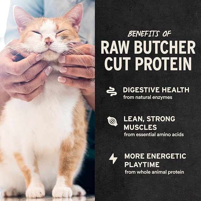 Vital Essentials Freeze Dried Cat Treats | Salmon Bites, Single Protein | Premium Quality | Grain Free, Crunchy Cat Treats, 1.1 oz Bag