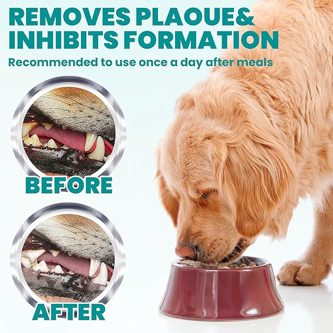 Wider Dental Care Finger Wipes 60 Counts,Teeth Cleaning Finger Wipes for Dogs & Cats,Reduces Plaque & Supports Oral Freshness, Unscented
