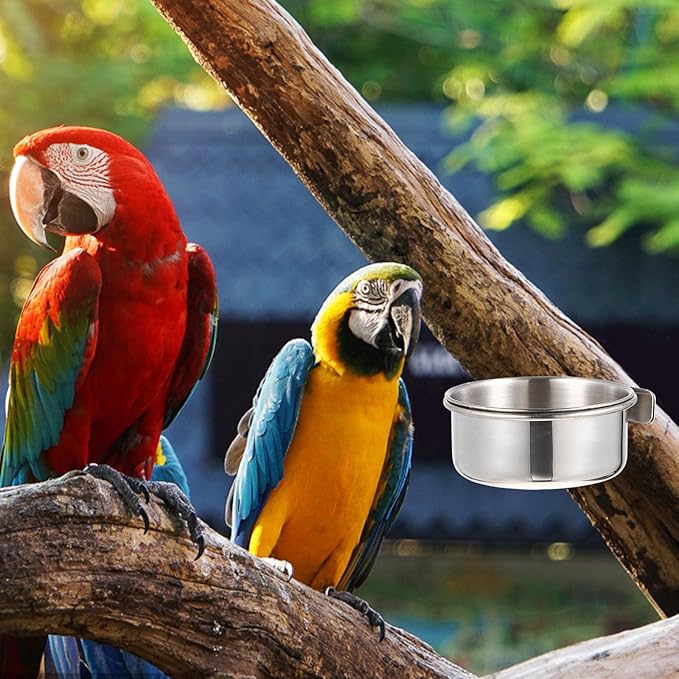 Yardwe Parrot Feed Cup Stainless Steel Bird Feeder 4.92X3.93X3.54In Bird Food Bowl Cage Accessory for Parakeet Cockatiel Conure Budgie