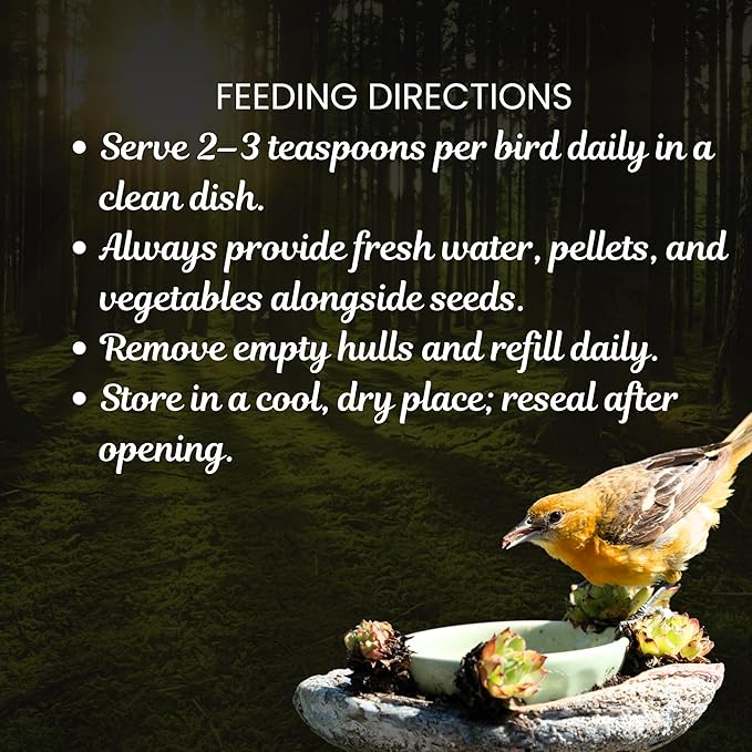 Danodia's Zoolulu Premium Budgies & Finches Millet Mix (450g /1 lbs) | Premium Bird Seed Blend for Budgies, Finches & Canaries | Daily Healthy Nutrition