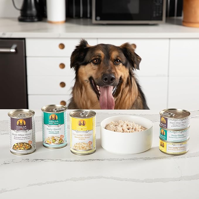 Weruva Classic Dog Food, Bed & Breakfast with Chicken, Egg, Pumpkin & Ham in Gravy, 14oz Can (Pack of 12)