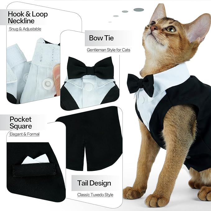 PUMYPOREITY Cat Tuxedo Suit Formal Wear with Bow Tie, Soft Skin-Friendly Cat Costumes for Cats Only, Elegant Outfit for Male Female Cats, Perfect for Wedding Birthday Photo Shoots, 2XL, Black