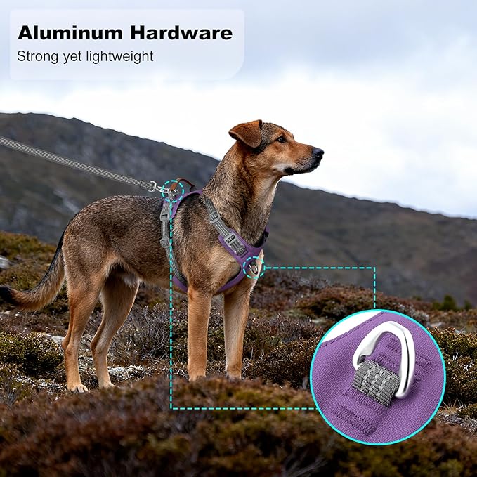 No Pull Dog Harness – Adjustable Reflective Nylon Vest for Small Medium Large Dogs, Escape Proof Training Harness with Leather Control Handle, Lightweight Aluminum Hardware (Purple, XL)