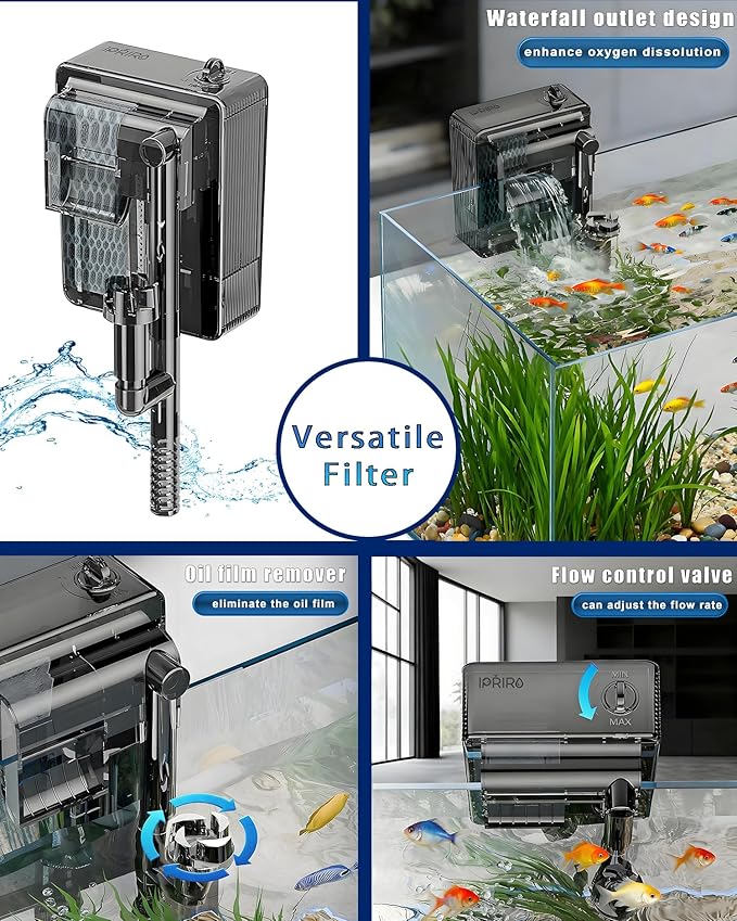 Fish Tank, 3 Gallon Ultra-Clear Glass Fish Aquarium, with Separator Plate for Betta, Fish Tank Starter kit with Filter and Adjustable Led Light, White