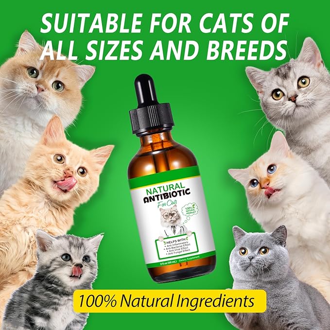 Cat Antibiotics for Infection, Natural Antibiotics for Cats, Cat Multivitamins Liquid, Cat Antibiotic Supports Immune and Cats Allergy Itch Relief, Pet Antibiotics Supplements, Chicken Flavor, 2 Fl Oz