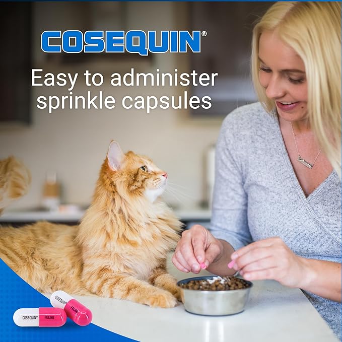 Nutramax Cosequin for Cats Joint Health Supplement,Contains Glucosamine for Cats,Plus Chondroitin,Supports Healthy Joints,for-All Breeds and Sizes,Sprinkle Capsules,55 Count (Pack of 2)