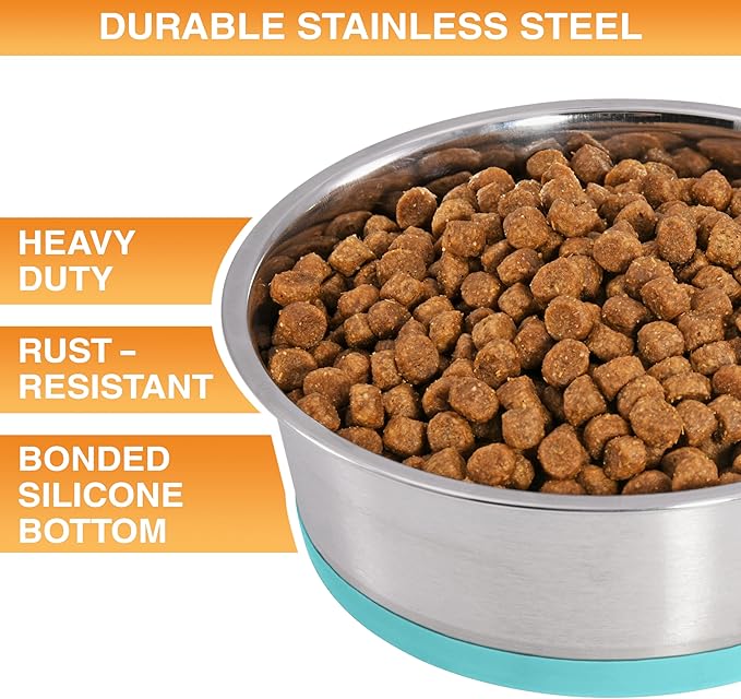 Neater Pet Brands Stainless Steel Dog Bowls with Non-Slip Rubber Bottom – Set of 2, 6 Cup (48 oz), Teal - Heavy Duty Metal Dog Bowl, Dishwasher Safe, Food or Water Bowl, Ideal for Large Dogs