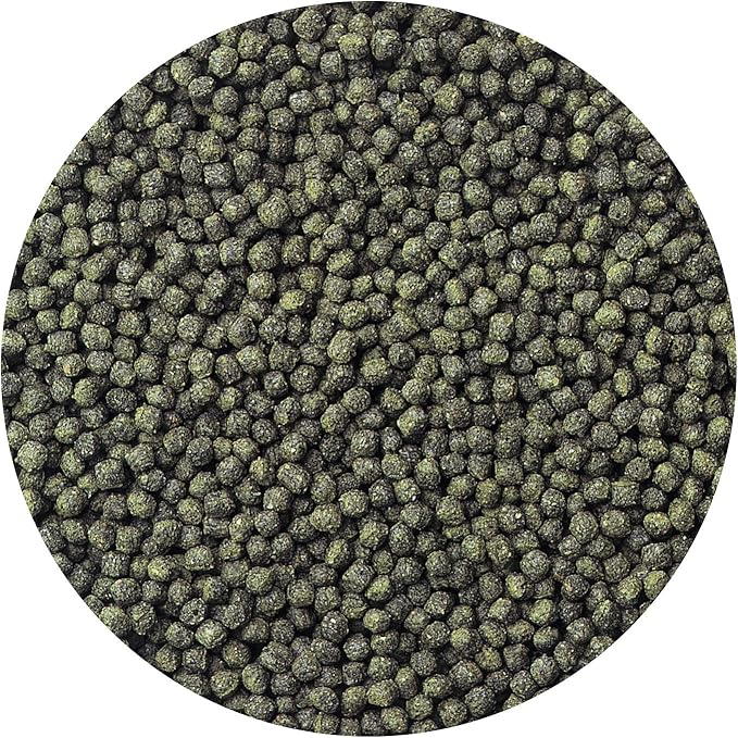 Hikari 2-Ounce Cichlid Excel Floating Pellets for Pets, Mini