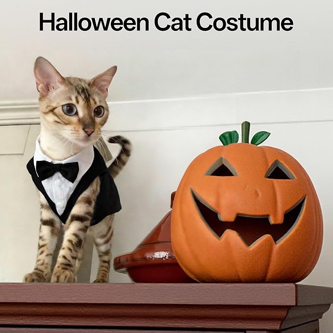 PUMYPOREITY Cat Tuxedo Suit Formal Wear with Bow Tie, Soft Skin-Friendly Cat Costumes for Cats Only, Elegant Outfit for Male Female Cats, Perfect for Wedding Birthday Photo Shoots, L, Black