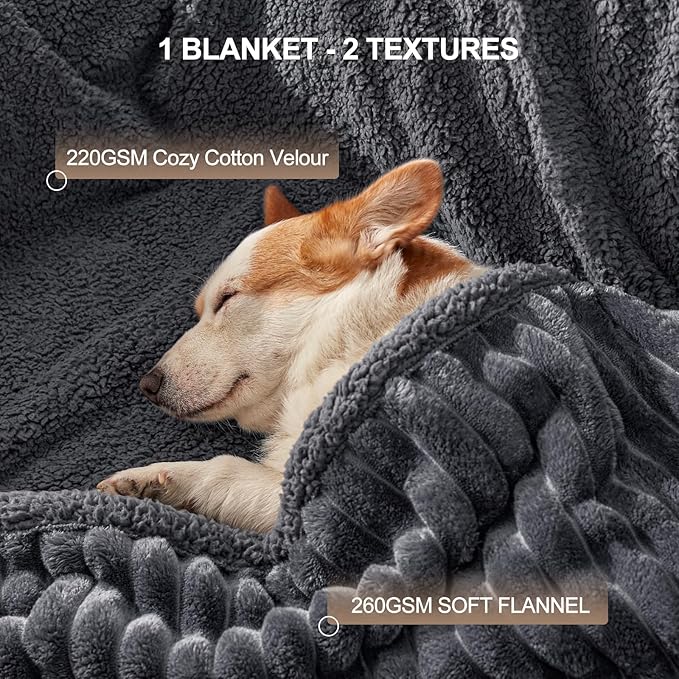 Waterproof Dog Blanket for Large Dogs, Washable Soft Puppy Cat Blanket Flannel Cotton Velour for Sofa Couch Protector, Comfort & Security Reversible Bed Protection for Pet, 50"X60", Gray