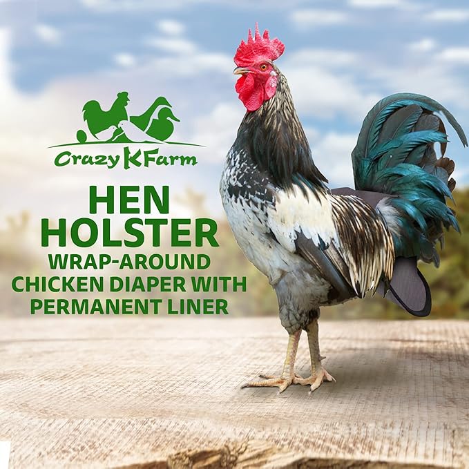 Hen Holster Bird Diaper, Wrap Around - for Hens, Roosters, Ducks, Leak-Proof Design, Comfortable Fleece Strap Bird Harness with Sewn-in Liner, Secure Hook and Loop Closure - Large, Gray