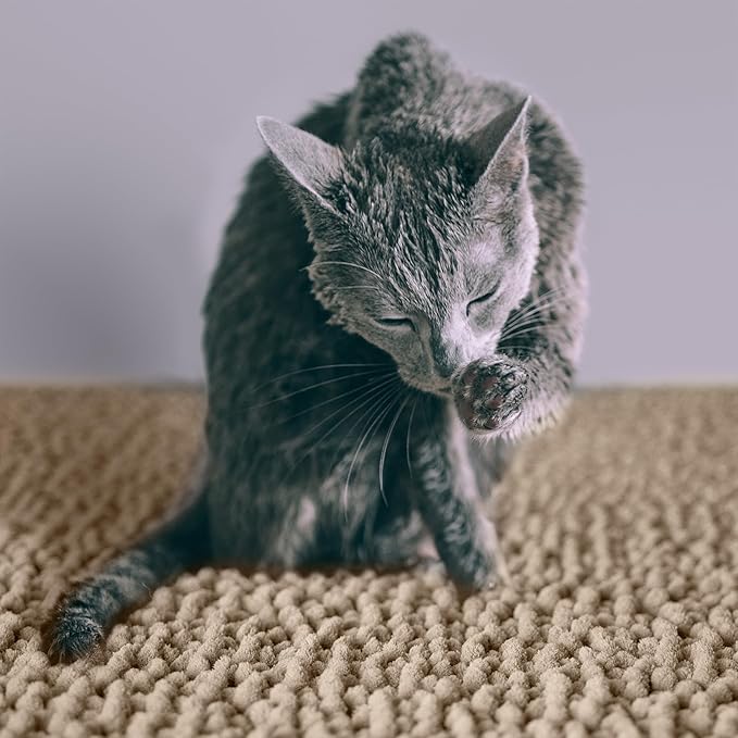 CatGuru Cat Litter Mat, Medium, Extra Large, XXL, Waterproof Litter Box Mat, Non Slip Kitty Litter Mat, Machine Washable Litter Trapping Mat, Soft Litter Tray, Cat Stuff (XXL, Sand/Heavy-Duty)
