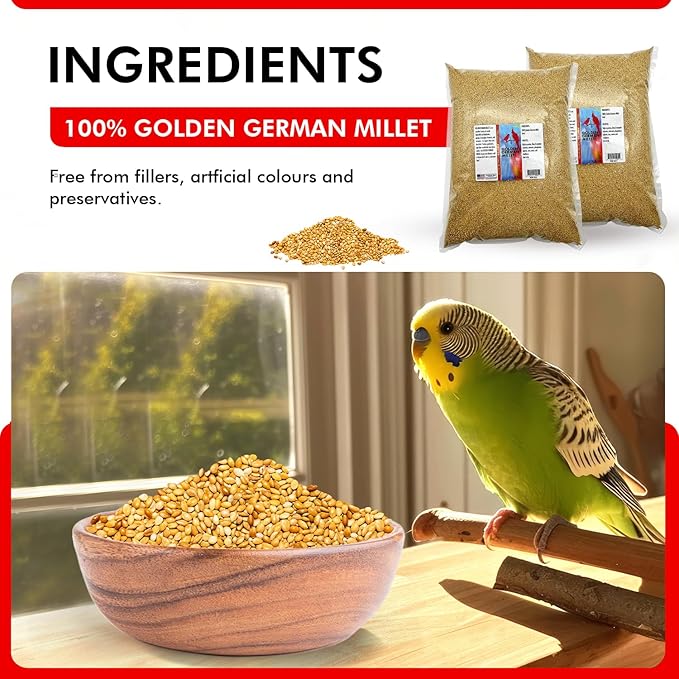 Morning Bird Golden German Millet 18 lbs (2-Pack, 9 lbs Each) – Natural Millet Seed for Birds – Natural Protein & Fiber Source – Easy-to-Digest Daily Nutrition for All Bird Types