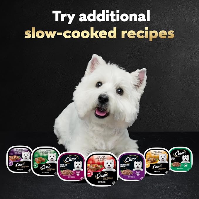 Cesar Loaf & Topper in Sauce Wet Dog Food, Filet Mignon Flavor with Bacon & Potato, Wet Food for Dogs, 3.5 oz Easy Peel Trays, 24 Count