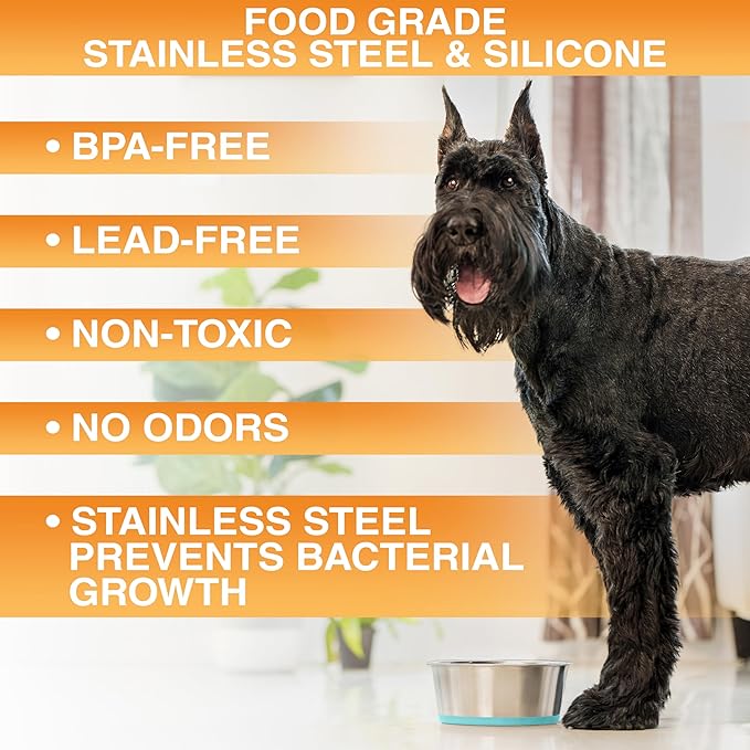 Neater Pet Brands Stainless Steel Dog Bowls with Non-Slip Rubber Bottom – Set of 2, 4 Cup (32 oz), Teal - Heavy Duty Metal Dog Bowl, Dishwasher Safe, Food or Water Bowl, Ideal for Medium Dogs