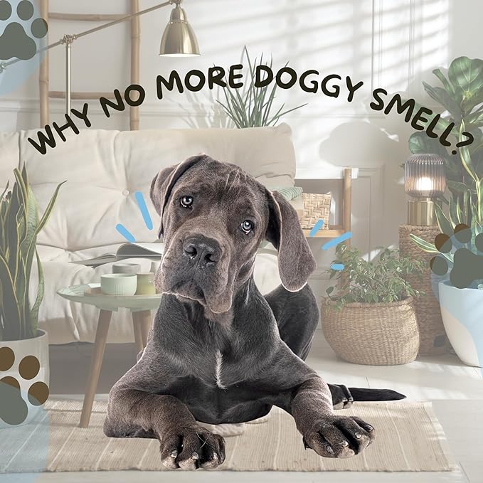 No-Rinse Dog Paw Cleaner & Pet Cleaning Spray for Dogs & Cats – Cleans Coat, Eyes & Ears, Hot Spot – Daily Cleaner for Pet Messes, Stains & Pet Odor Remover – No Harmful Chemicals (16 fl oz)