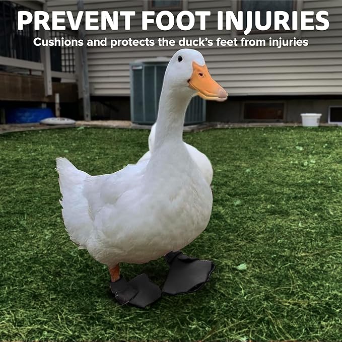 Duck Shoes for Injured Feet – Protective Neoprene Footwear for Ducks, Protective Shoes for Birds with Injured feet, Bumblefoot Relief - Medium, 3.5” Max. Inside Width - Gray