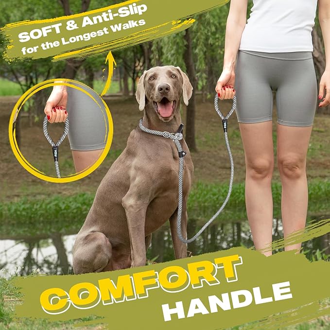 Fida Durable Slip Lead Dog Leash, 6 FT x 3/8" Heavy Duty Comfortable Strong Rope Slip Lead for Small Dogs and Puppies, No Pull Pet Training Leash with Highly Reflective(3/8", Grey)