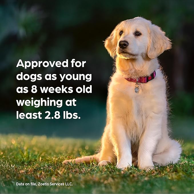 Simparica Trio (sarolaner, moxidectin, and pyrantel chewable Tablets) Chewables for Dogs, 24 mg/tab, 22.1-44 lbs, (Blue), 6 Tablets