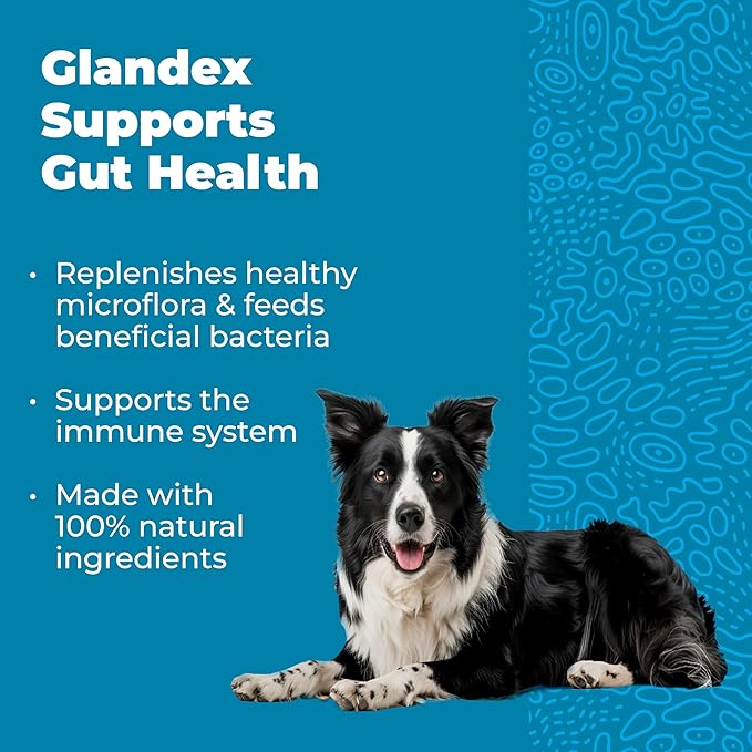 Vetnique Glandex Daily Probiotics for Dogs with Prebiotics to Support Gut Health with Fiber and Digestive Enzymes, Dog Probiotic Chews or Powders (30ct Chews, Bacon Chews)