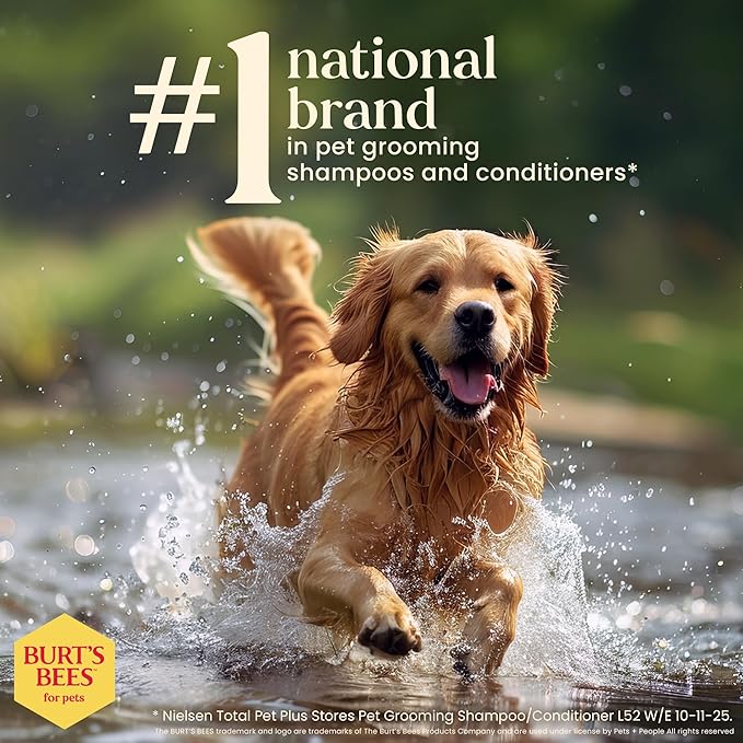 BURT'S BEES FOR PETS Naturally Derived Deodorizing Spray for Dogs - Best Dog Spray for Smelly Dogs - Made with Apple & Rosemary - Cruelty Free, Made in USA, 10 oz - 6 Pack