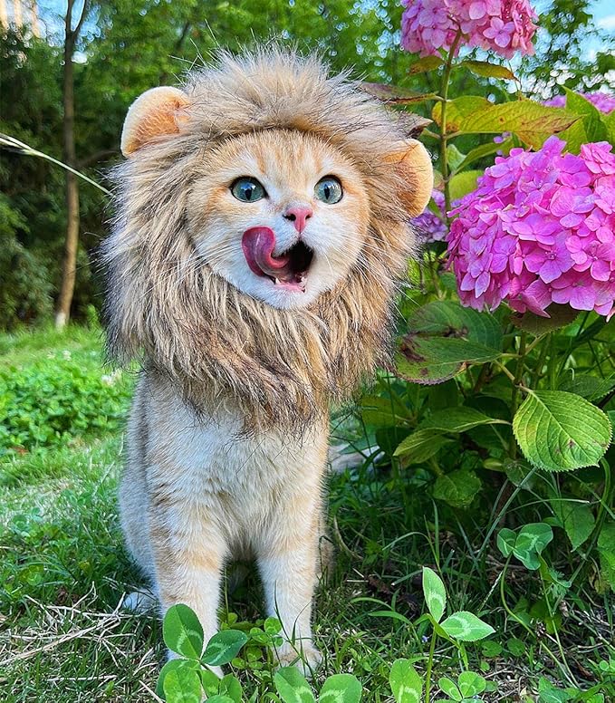 Lion Mane Wig for Cat, Funny Pet Cat & Puppy Costumes for Halloween & Christmas, Funny Pet Clothing Accessories (Medium, Dark Brown)