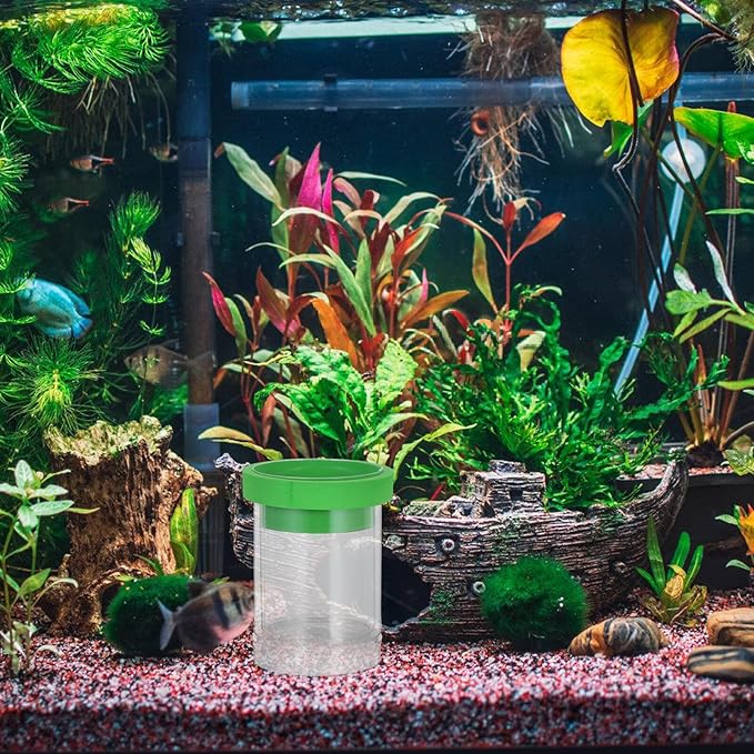 TOYANDONA Fish Breeding Isolation Box for Aquarium, Floating Guppy Egg Incubator with Green Compact Fry Hatchery Tank for Fish Tank Breeding and Hatching