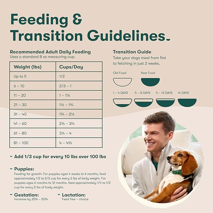Jinx Premium Senior Dog Food Dry - Real Chicken, Brown Rice & Sweet Potato Kibble with Antioxidants for Immune Support & Whole Grains for Digestive Support - No Fillers - 4lb