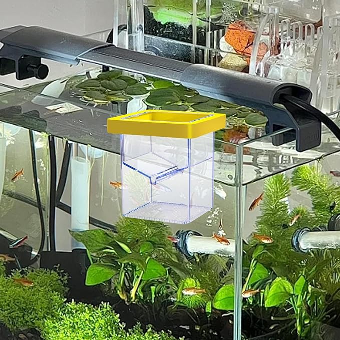 Generic Aquarium Breeder Box Hatchery Floating Acrylic Isolation Incubation Box for Baby Fish, Clownfish, Betta Eggs