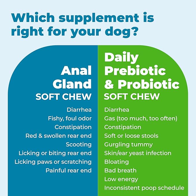 Vetnique Glandex Daily Probiotics for Dogs with Prebiotics to Support Gut Health with Fiber and Digestive Enzymes, Dog Probiotic Chews or Powders (30ct Chews, Bacon Chews)
