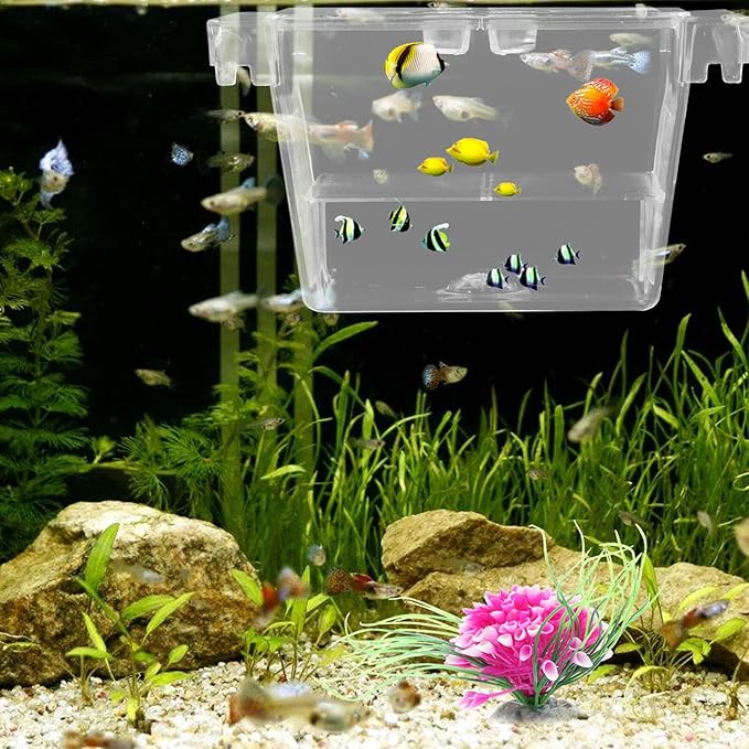 HANABASS Aquarium Fry Box and Fish Breeding Hatchery Incubator with Air Circulation, Small Isolation Box for Fish Tank Suitable for Betta and Shrimp Breeding