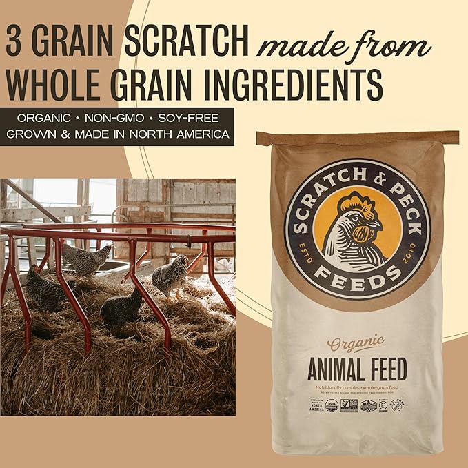 Scratch and Peck Feeds 3 Grain Scratch Chicken and Duck Supplemental Grain - Corn-Free and Soy-Free - 9.8% Protein, Certified Organic and Non-GMO Project Verified Chicken Food - 50 lbs Bag