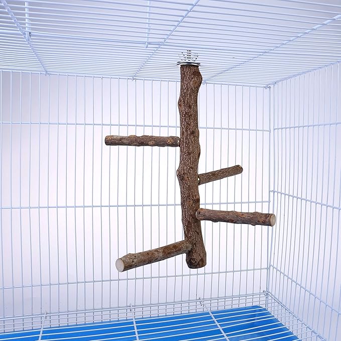 Bird Perch Stand Toy, Natural Wood Parrot Perch Bird Cage Branch Perch Accessories for Parakeets Cockatiels Conures Macaws Finches Love Birds(L: 13.8" Length)