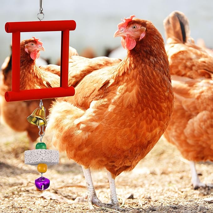 Sumind 2 Pieces Chicken Mirror Toys Hanging Swing Mirror with Bell Wooden Pecking Toy and 4 Pieces Beak Grinding Molar Stones for Hens Birds Parrots(Red,Purple)