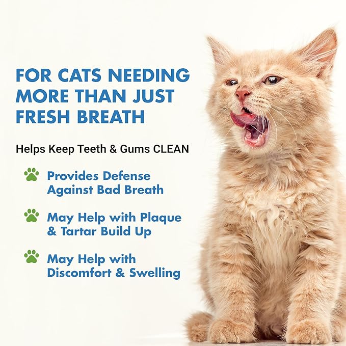 LIQUID-VET Ultimate Cat Teeth Cleaning for Comprehensive Dental Care SPECIFICALLY Formulated for Cats: Freshen Bad Breath Solutions for Superior Cat Oral Hygiene and Pet Dental Health