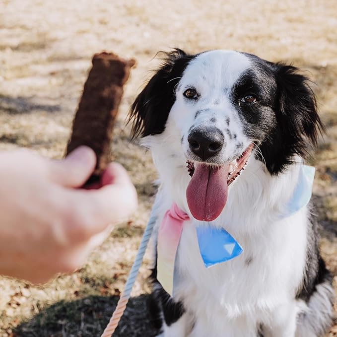 Bundle x Joy Leash & Load Beef Jerky for Dogs - 16 Oz Bag, Natural Superfood - Corn, Poultry, Soy & Grain Free Beef Dog Treats Made in USA Only