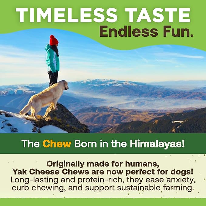 EcoKind Premium Gold Yak Cheese Himalayan Dog Chews, Dog Treats Large Breed, All Natural, High Protein, for Aggressive Chewers, Large - 5 Chews