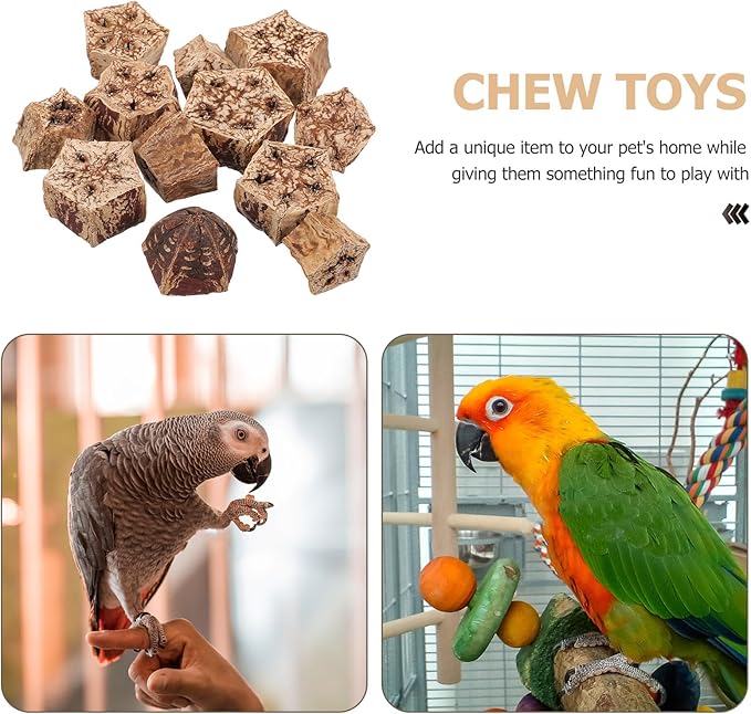 GANAZONO 12pcs Natural Parrot Chew Foraging Bird Biting Pet Treats for Macaw Budgie Cockatiel Healthy Mental Stimulation and Loneliness Relief