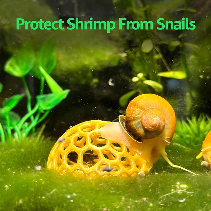 Shrimp Dome Hide - Aquarium Cherry Shrimp Hide - CTWPets Cherry Shimpe Hide (Light Brown)