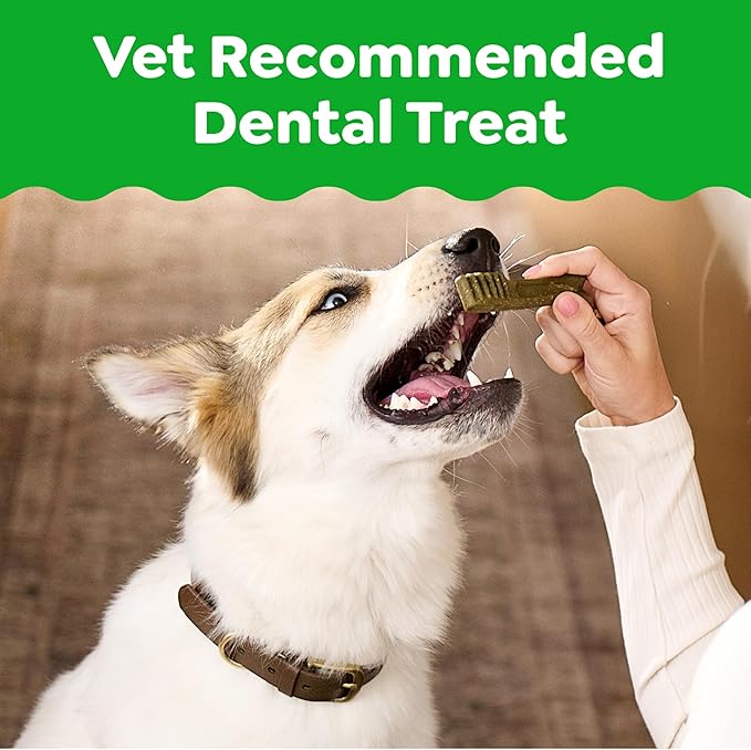 Greenies Veterinarian-Recommended Adult Natural Dental Dog Treats Large Size, Dog Dental Chews, Original Flavor, 54 oz. Pack, 34 Count