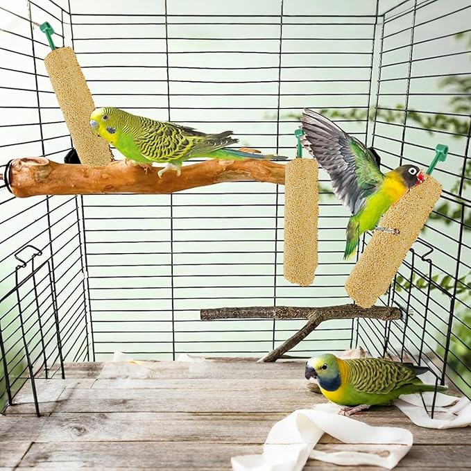 Cockatiel Treat - | 2 Pieces Bird Snacks | Pet Bird Treat Sticks | Cockatiel Treats, Pet BirdTreat Sticks Training Food Rewards Chewing Foraging Snacks for Myna Parakeet Finch Conure Parrot
